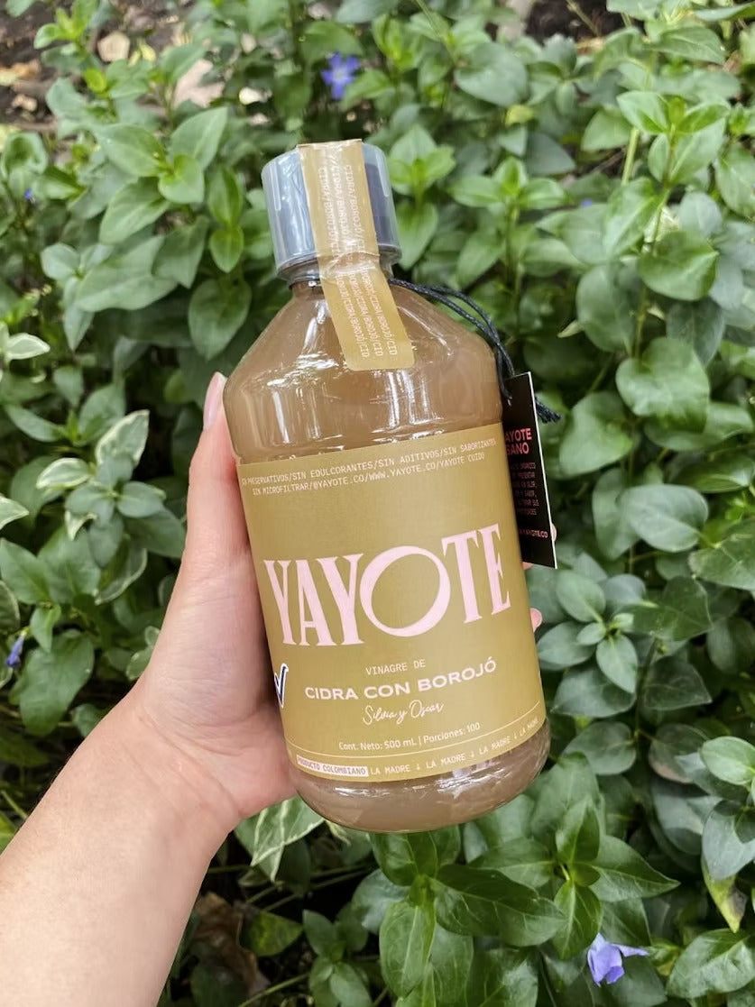 YAYOTE DE CIDRA (Guatila) CON BOROJÓ